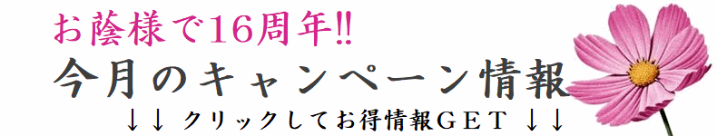 u(񂠂)vLy[